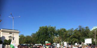 Снимка: Фейсбук, Петър Петров