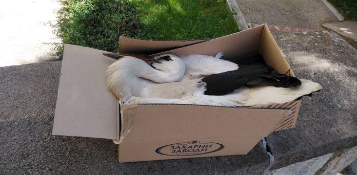 Снимка: Община Ракитово