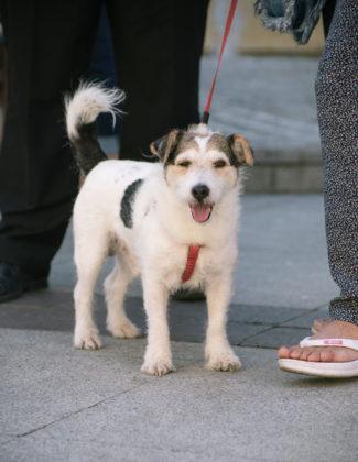Хората от протестите в Бургас
