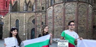 Протест в Нидерландия. Снимка: Фейсбук, Лия Върбанова