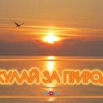 Джулай за природа