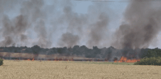 Пожар Белица