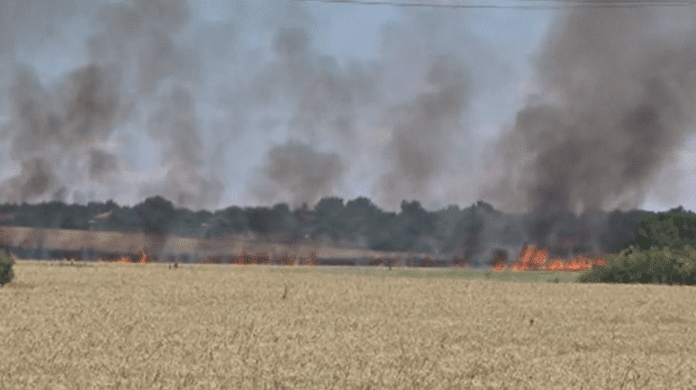 Пожар Белица