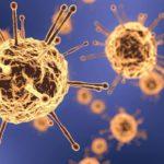 Илюстративна снимка. Източник: PixaBay