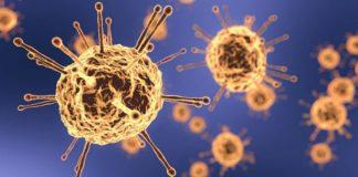 Илюстративна снимка. Източник: PixaBay