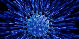 Илюстративна снимка. Източник: PixaBay