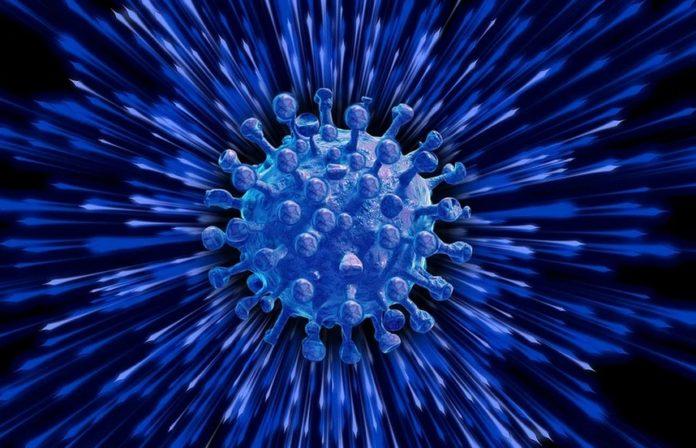 Илюстративна снимка. Източник: PixaBay