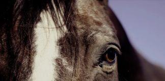 Илюстративна снимка. Източник: PixaBay