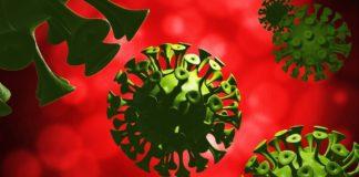 Илюстративна снимка. Източник: PixaBay