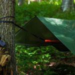 Илюстративна снимка. Източник: PixaBay