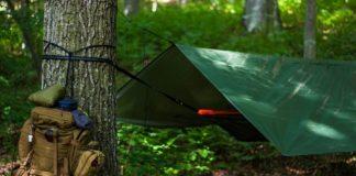 Илюстративна снимка. Източник: PixaBay