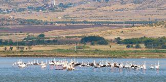 Атанасовско езеро