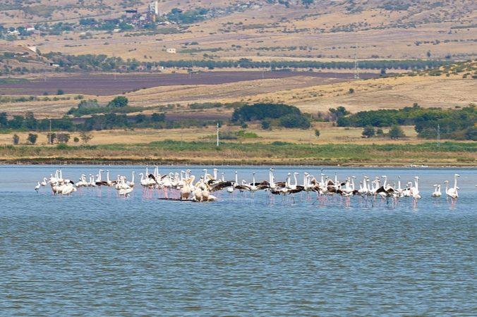 От коалиция За да остане природа в България сигнализират за