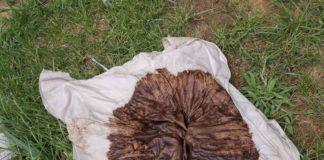 Снимка: Фейсбук, Иван Ташков