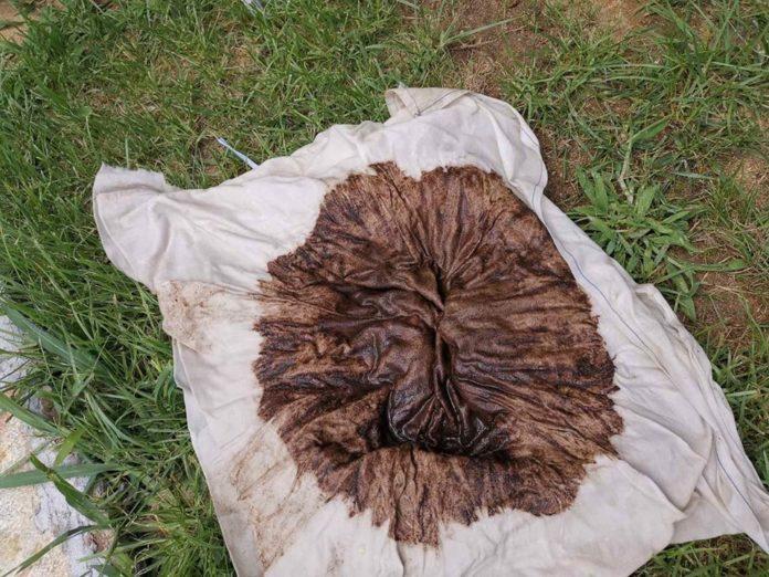 Снимка: Фейсбук, Иван Ташков