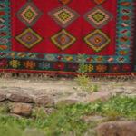 Чипровски килими. Снимка: Личен архив