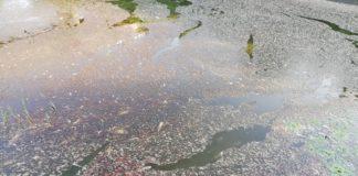 Снимка: Фейсбук, Петко Славев