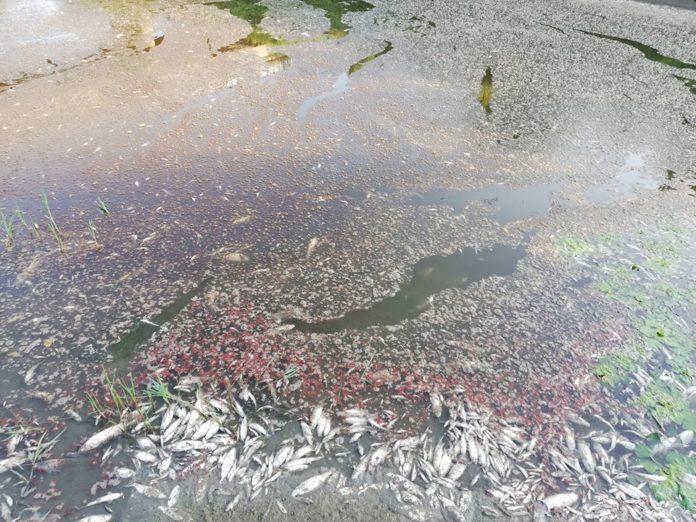 Снимка: Фейсбук, Петко Славев