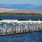 Среща на тема “Замърсяване на Поморийско езеро с отпадъци”