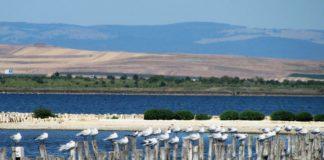 Среща на тема “Замърсяване на Поморийско езеро с отпадъци”