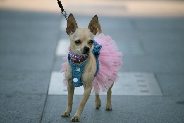 Хората от протестите в Бургас
