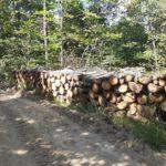 Снимка: Фейсбук, Gery Nikolova