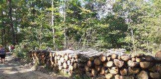 Снимка: Фейсбук, Gery Nikolova