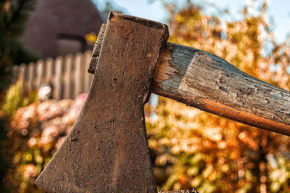 Мъж от Гроздьово нападна с брадва служител на МВР при