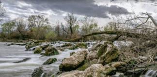 Река Марица