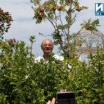 Ахмед Доган