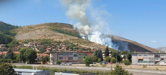 Пожар край Кричим