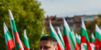 Пламен Димитров, БНС