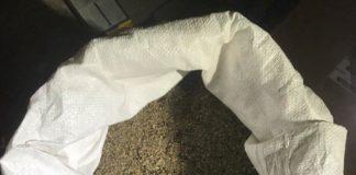 Акция в квартал Факултета