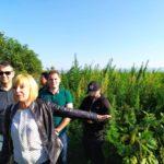 Мая Манолова показа поле с марихуана край София