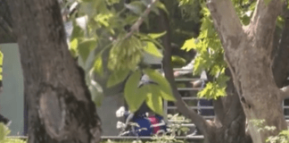 Размяна на юмруци пред София Тех парк