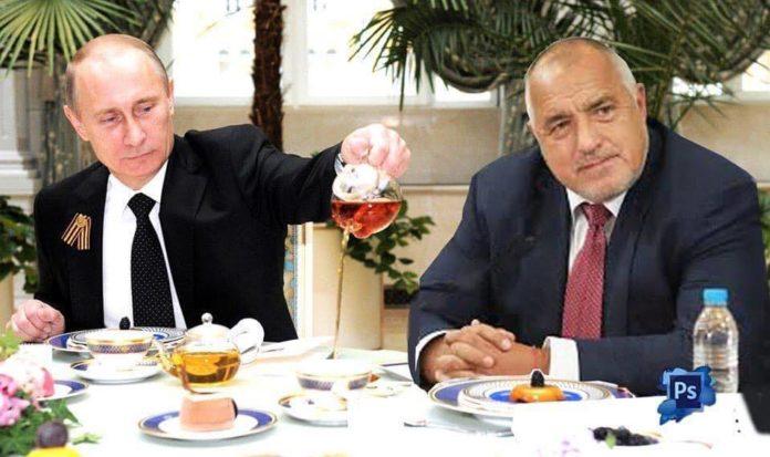 Бойко, пийни един чай