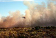 Горски пожар