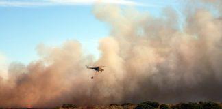 Горски пожар