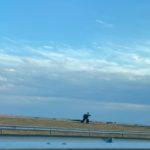 Бягащо дърво