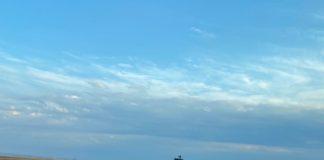 Бягащо дърво