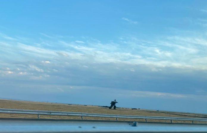 Бягащо дърво