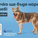 Кучето Фелисити