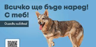 Кучето Фелисити