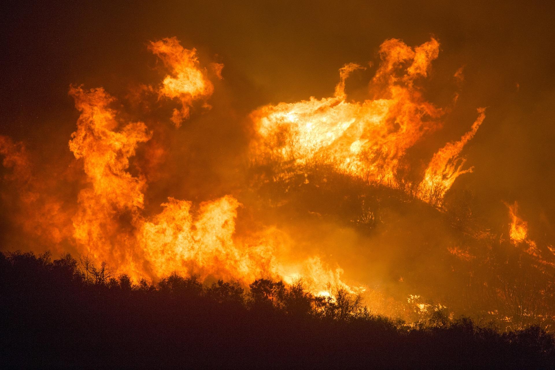 Пожарникарите в Португалия се борят да овладеят горските пожари обхващащи