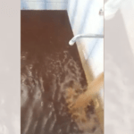 Кална вода Левски