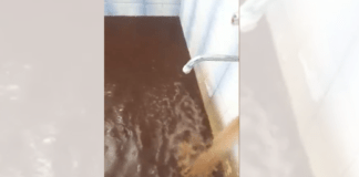 Кална вода Левски