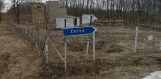 Круша, Равна гора, Китка