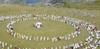 Паневритмия