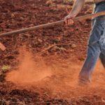 Мотика, земеделие