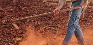 Мотика, земеделие